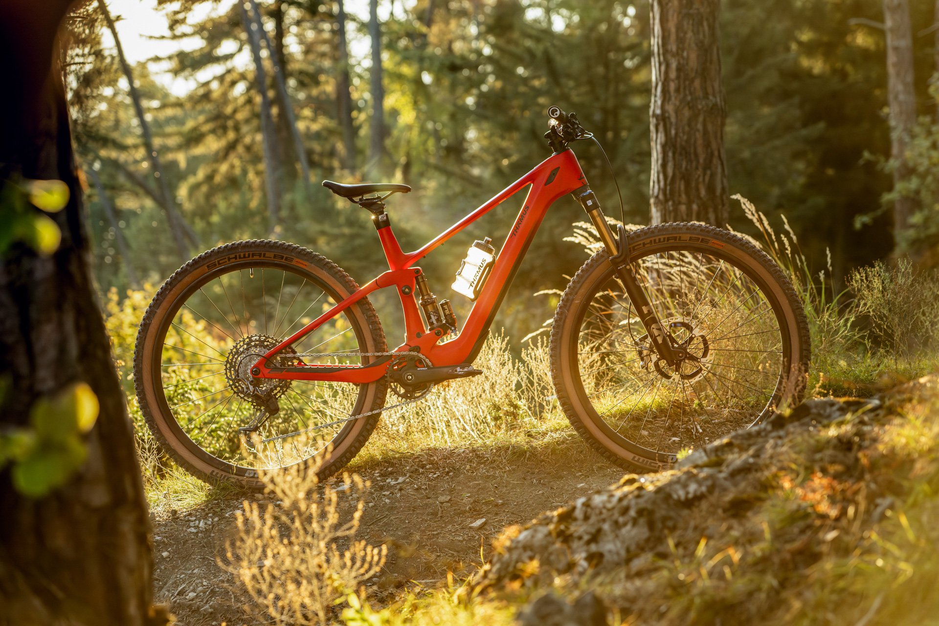 250919_thoemus_s26_mtb_lightrider_emax_product_0157_av-Bearbeitet_edited_edited