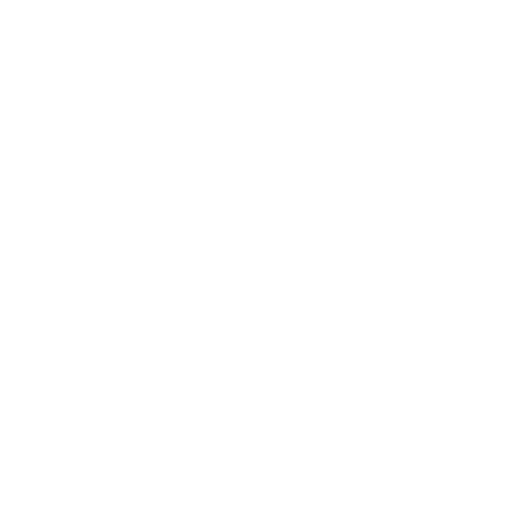 icon-speed-weiss