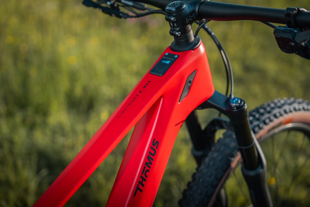 thoemus-lightrider-e-max-close-up-e-bike-display-DSC01146